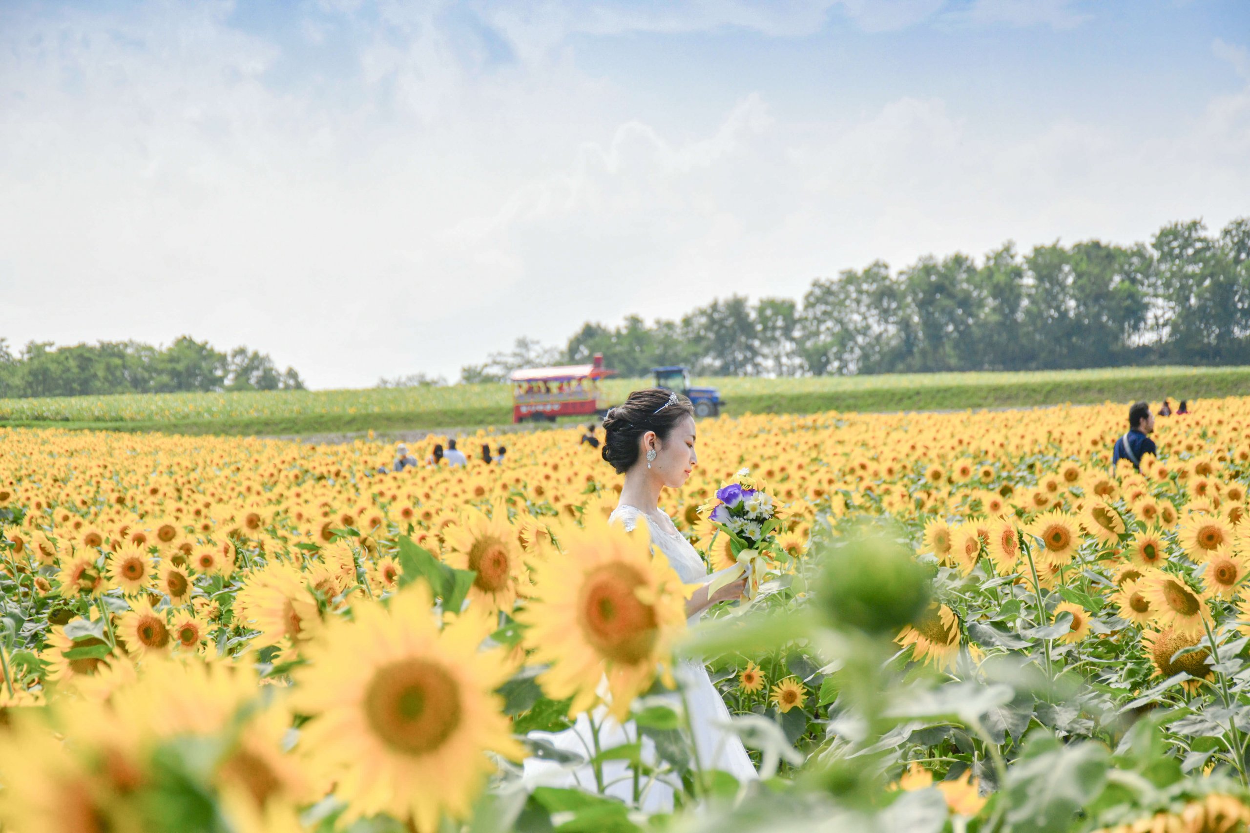 wedding-photo