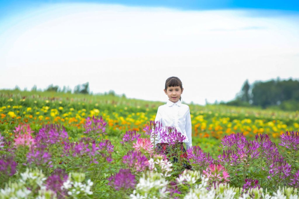 flowerland-1-1024×683