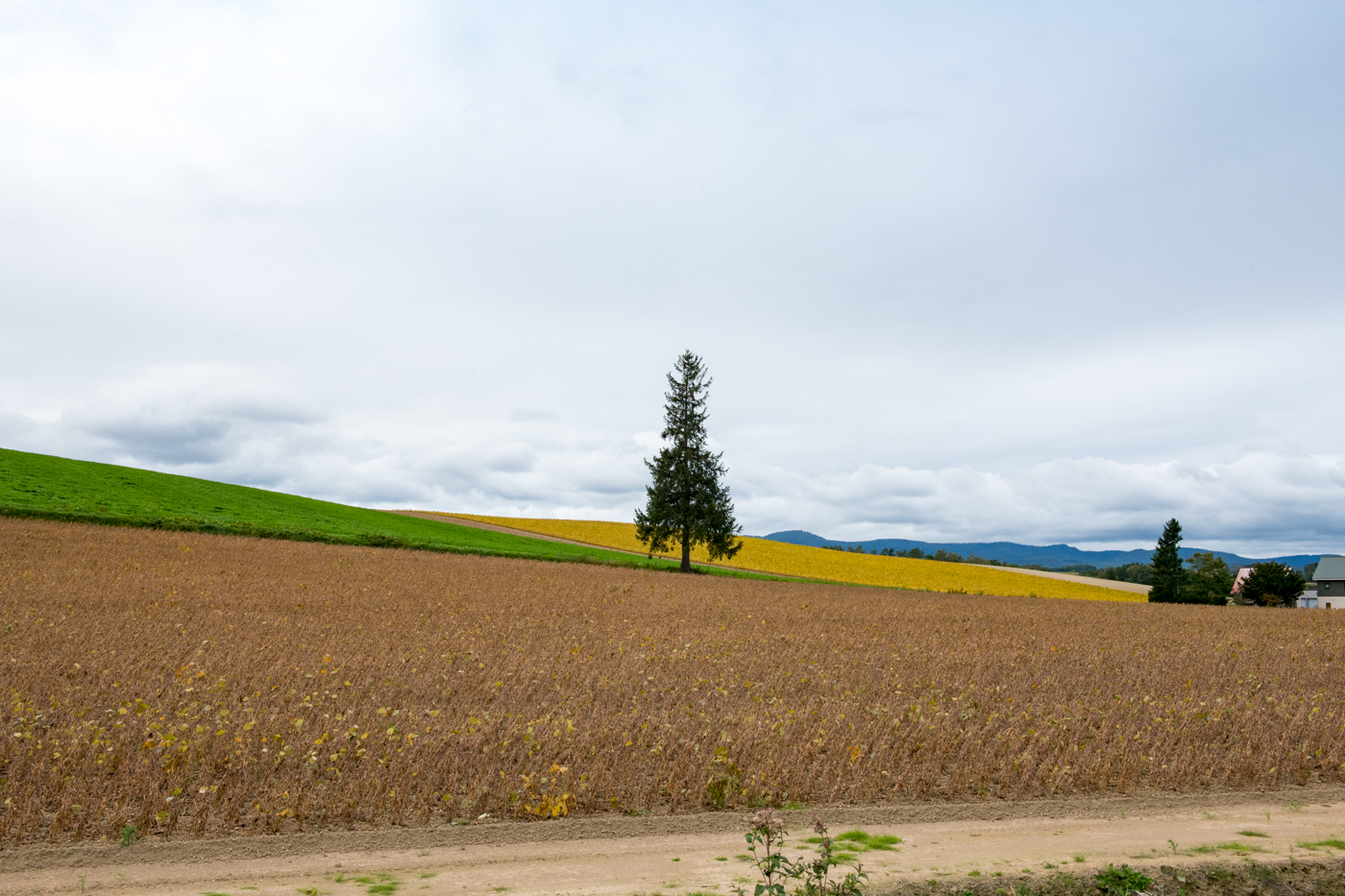 EE0_7248-1182