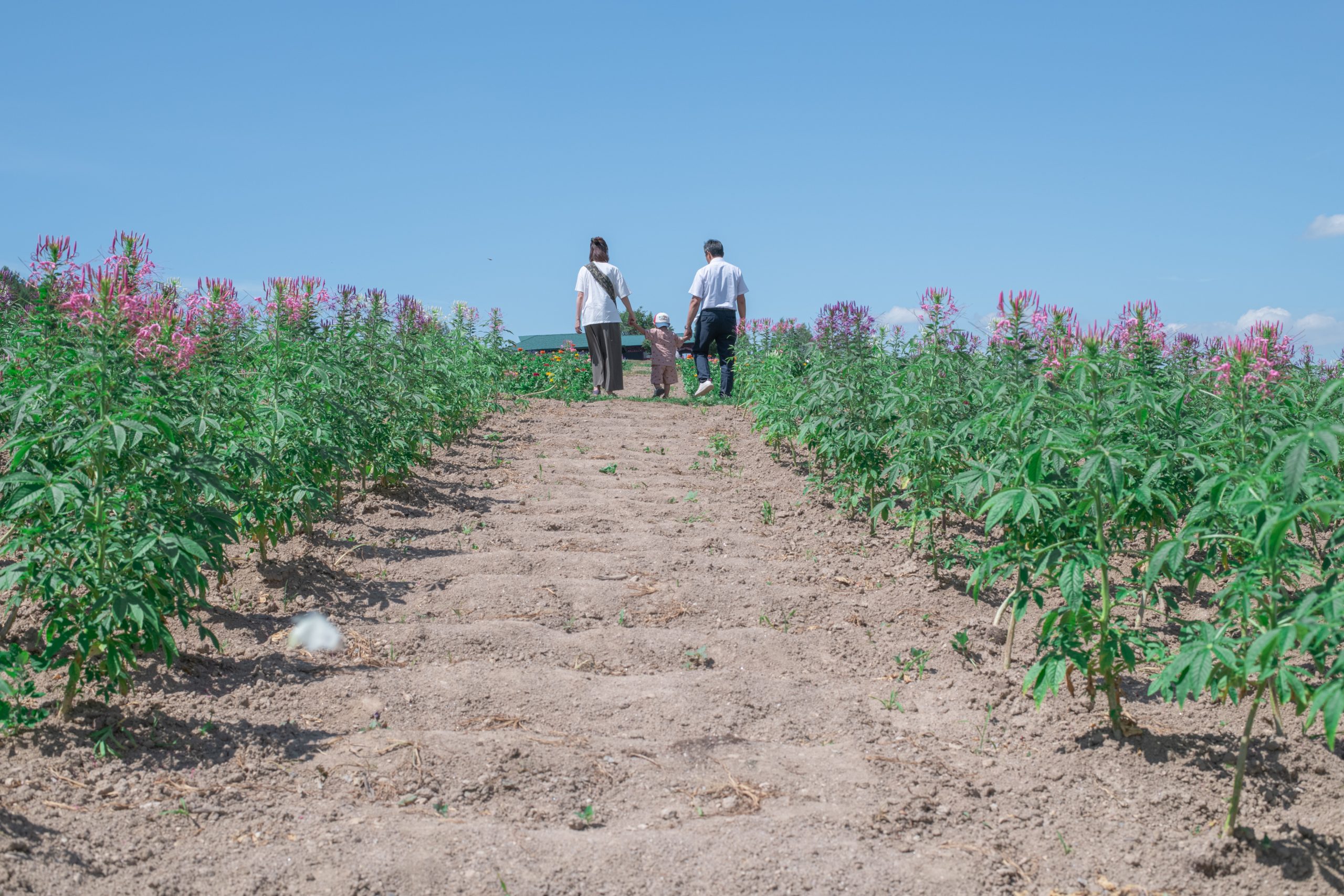 Famm撮影会 中野様-134