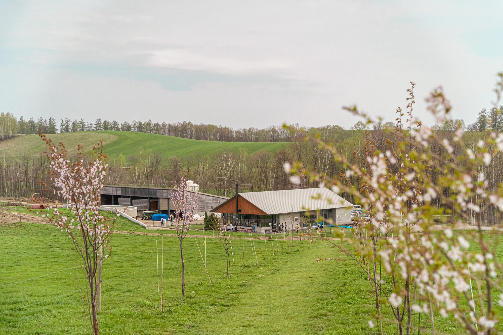 dsc06826-1.jpg