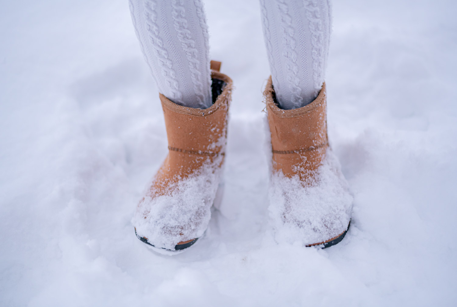 ウィンターフォト