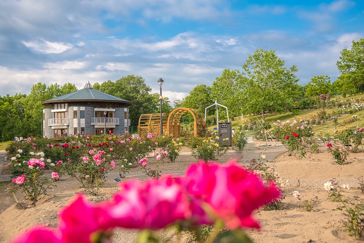 2500-171-196-1200×800