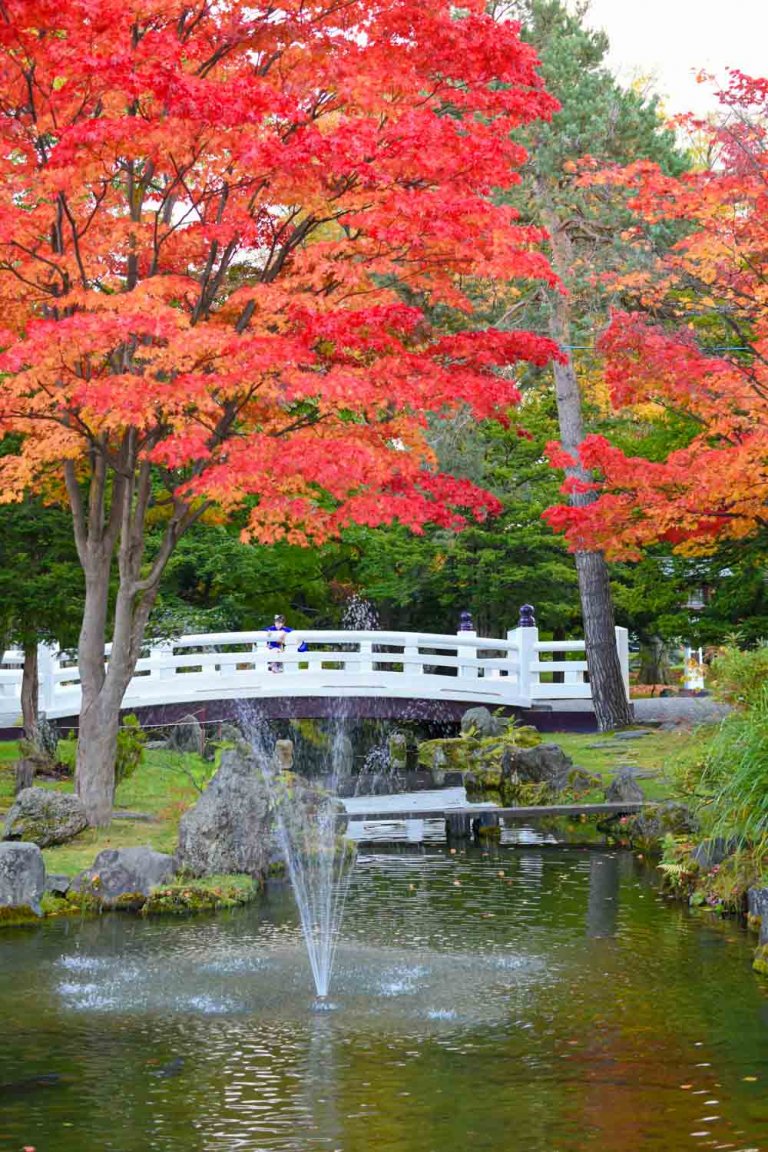 DSC_9665-4-1-768×1152