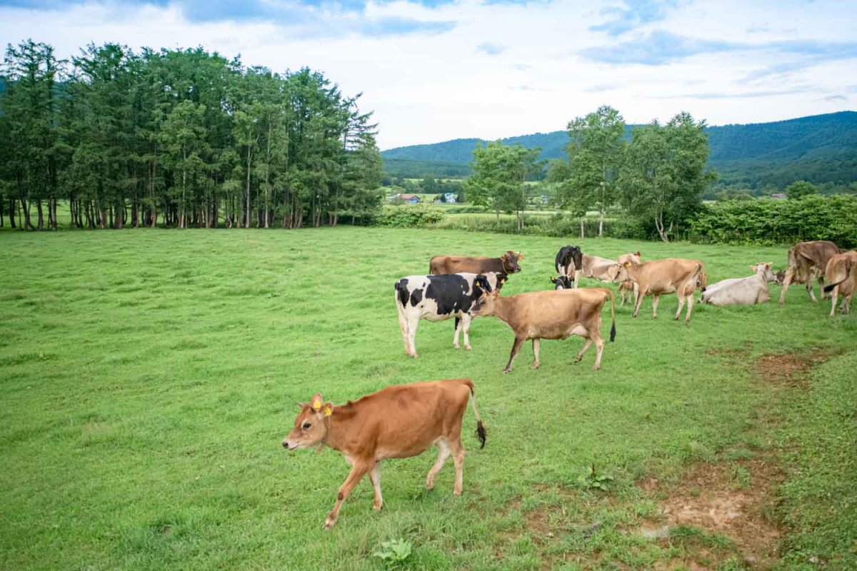 EE2_5822-1-1200×800