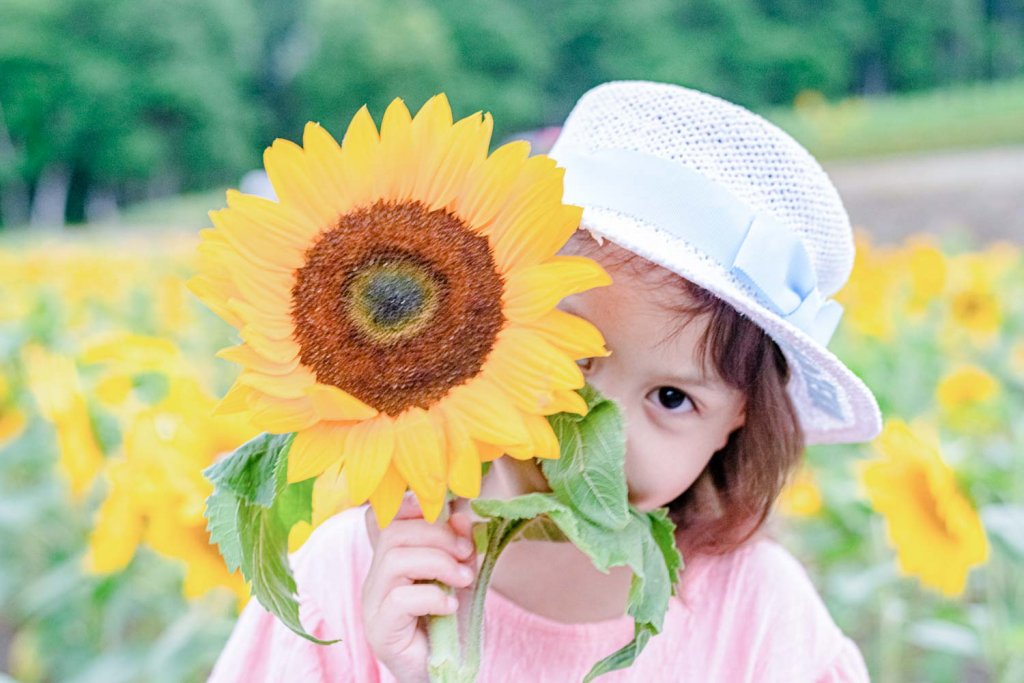 EE2_7857-6-11-1024×683