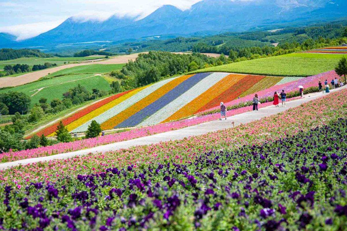 EE2_9016-2-1200×800