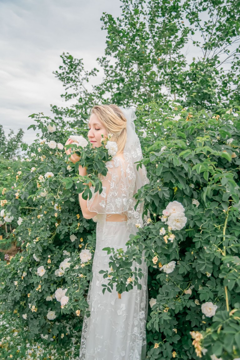 rosegarden-91-768×1152