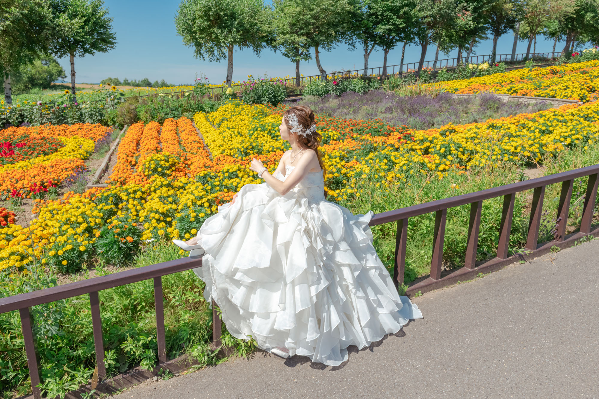 58c4cf6138d6723c39227111519c666a