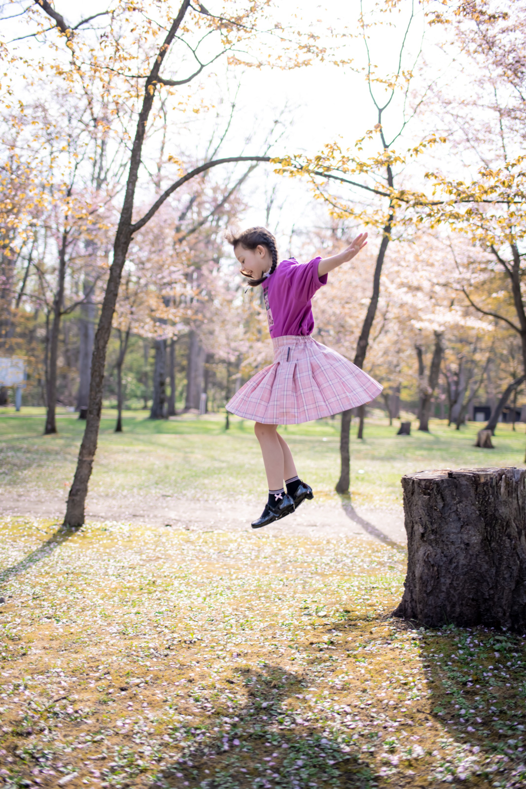 210505sakura-1600-1048