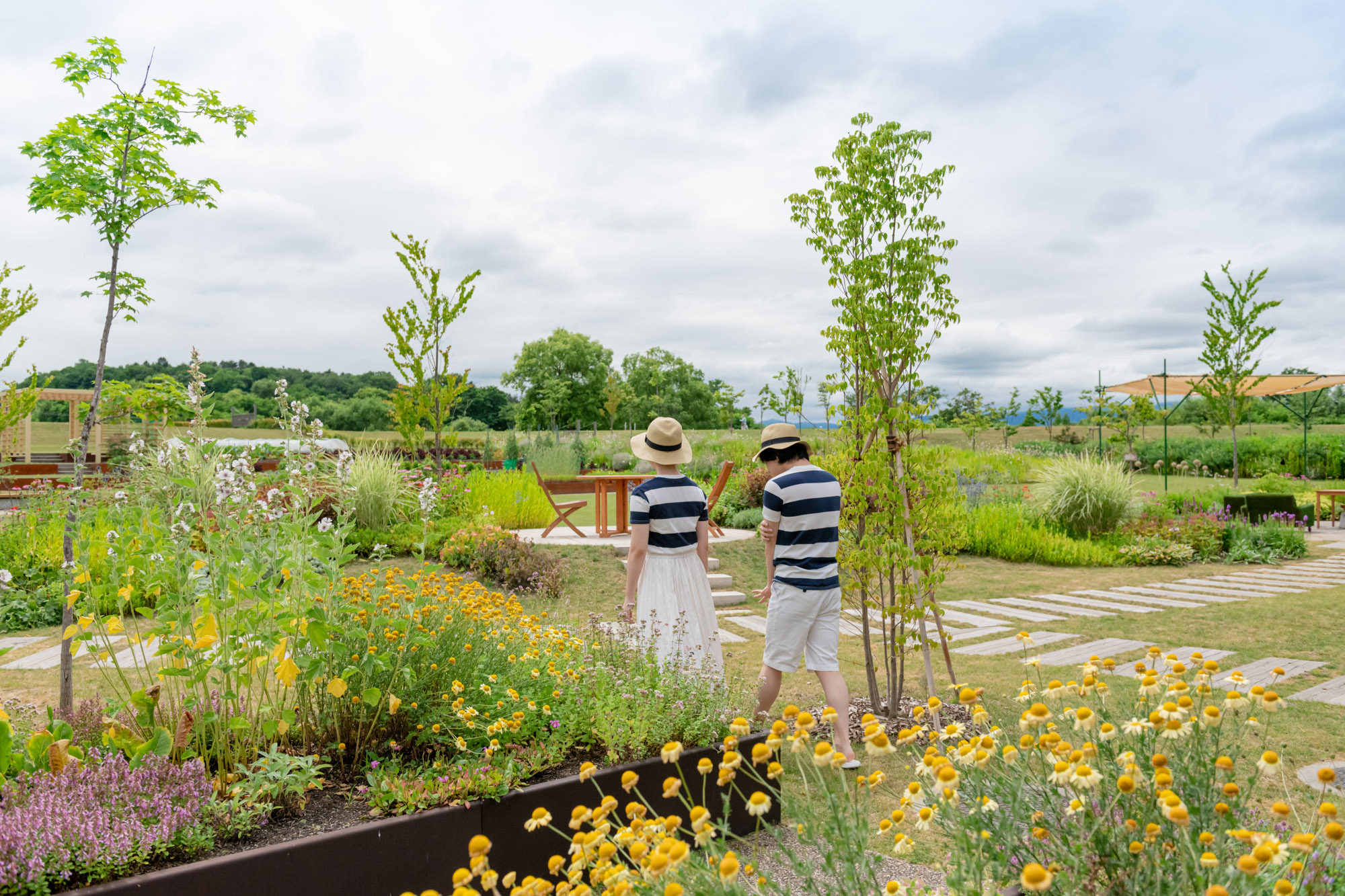 dfadc9f42d361c19bd03ff8d8e68c83c